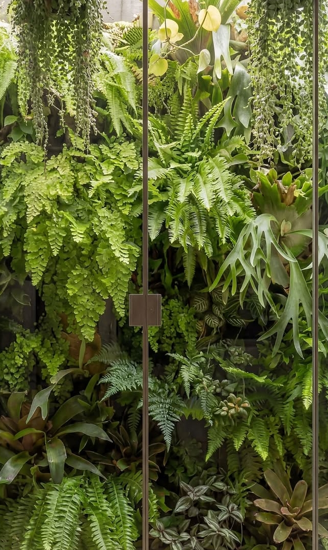 Fernando Garcia knSite